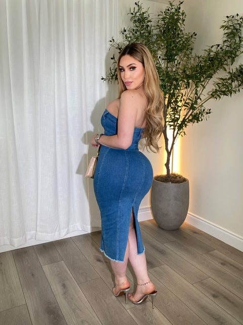 Sophie Dark Denim Dress