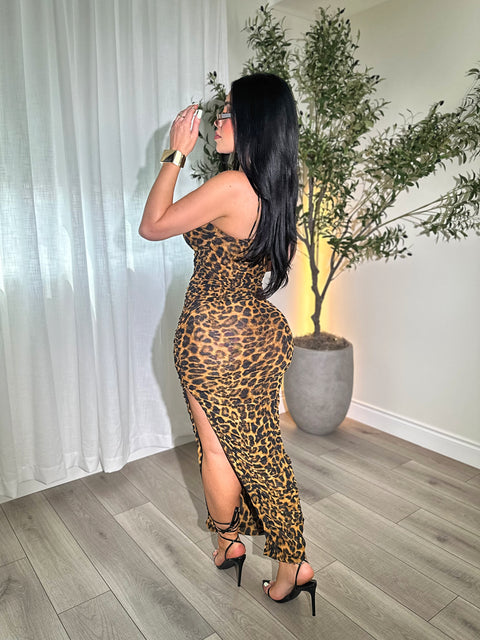 Slaycat Maxi