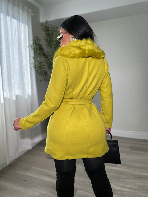 Exclusive Coat In Lime Green